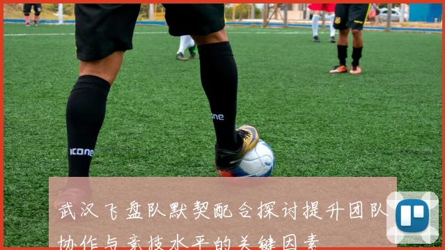 武汉飞盘队默契配合探讨提升团队协作与竞技水平的关键因素